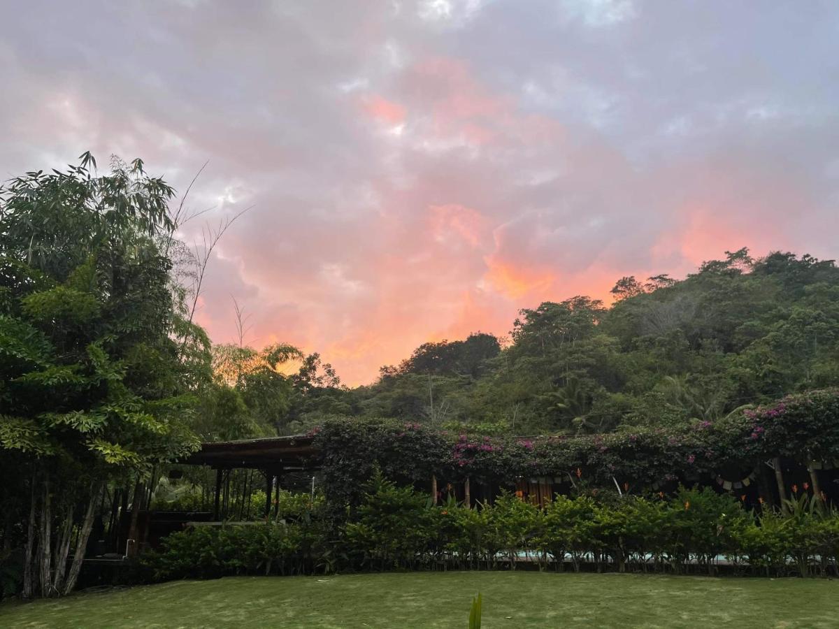 Soul Sync Sanctuary Formally Hacienda La Moringa Appartement Playa Hermosa  Buitenkant foto