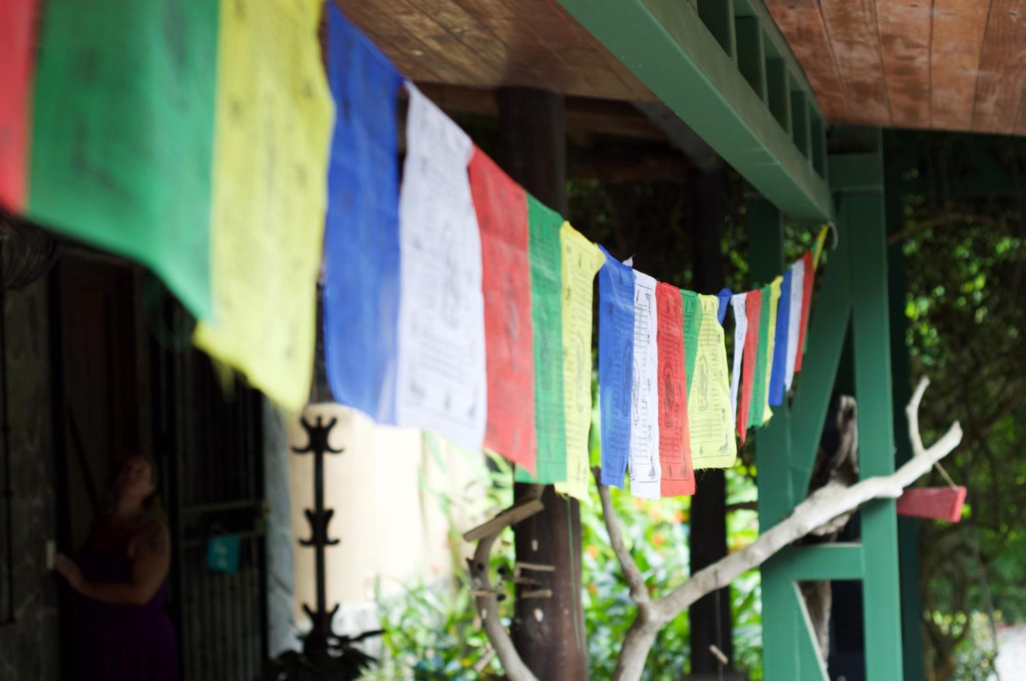 Soul Sync Sanctuary Formally Hacienda La Moringa Appartement Playa Hermosa  Buitenkant foto